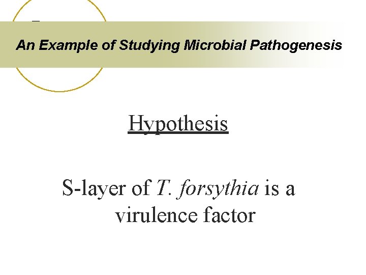 An Example of Studying Microbial Pathogenesis Hypothesis S-layer of T. forsythia is a virulence