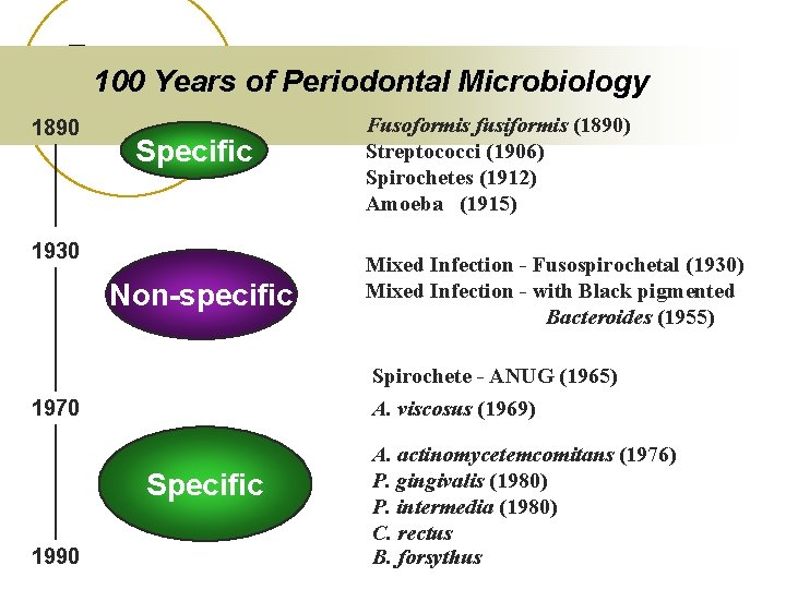 100 Years of Periodontal Microbiology 1890 Specific 1930 Non-specific Fusoformis fusiformis (1890) Streptococci (1906)