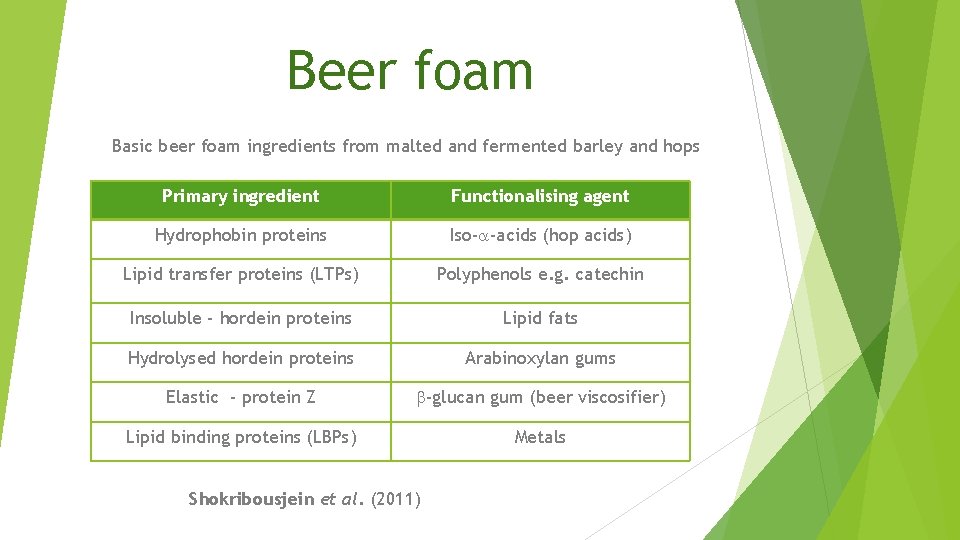 Beer foam Basic beer foam ingredients from malted and fermented barley and hops Primary