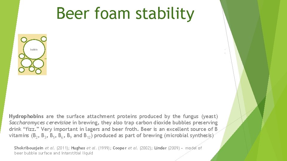 Beer foam stability Gas in bubble Super-structured multiple layers Hydrophobins Albumin protein Z Globular