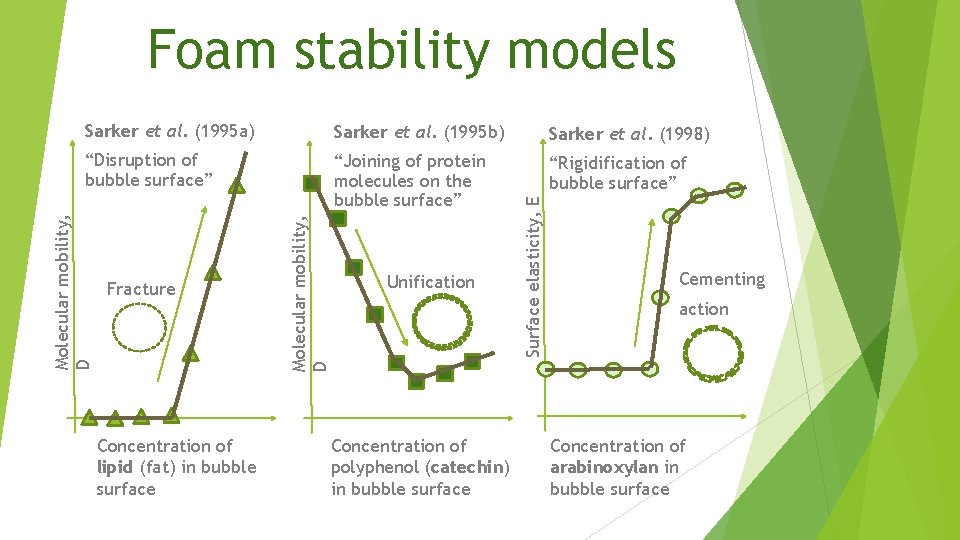 Foam stability models “Disruption of bubble surface” “Joining of protein molecules on the bubble