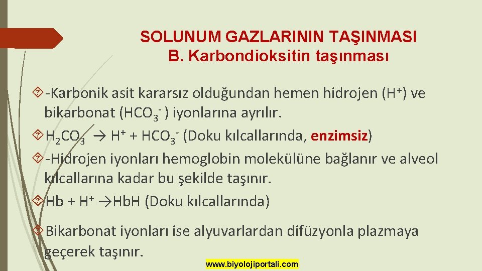 SOLUNUM GAZLARININ TAŞINMASI B. Karbondioksitin taşınması -Karbonik asit kararsız olduğundan hemen hidrojen (H+) ve