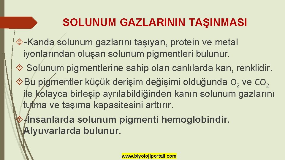 SOLUNUM GAZLARININ TAŞINMASI -Kanda solunum gazlarını taşıyan, protein ve metal iyonlarından oluşan solunum pigmentleri