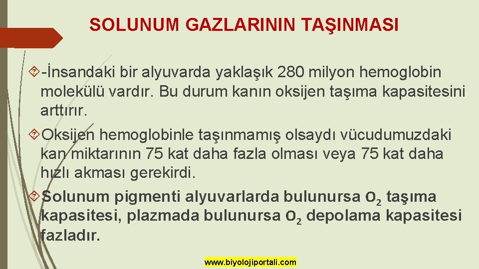 SOLUNUM GAZLARININ TAŞINMASI -İnsandaki bir alyuvarda yaklaşık 280 milyon hemoglobin molekülü vardır. Bu durum