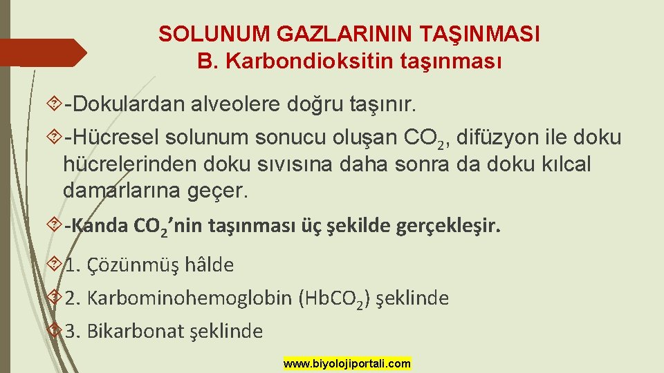 SOLUNUM GAZLARININ TAŞINMASI B. Karbondioksitin taşınması -Dokulardan alveolere doğru taşınır. -Hücresel solunum sonucu oluşan