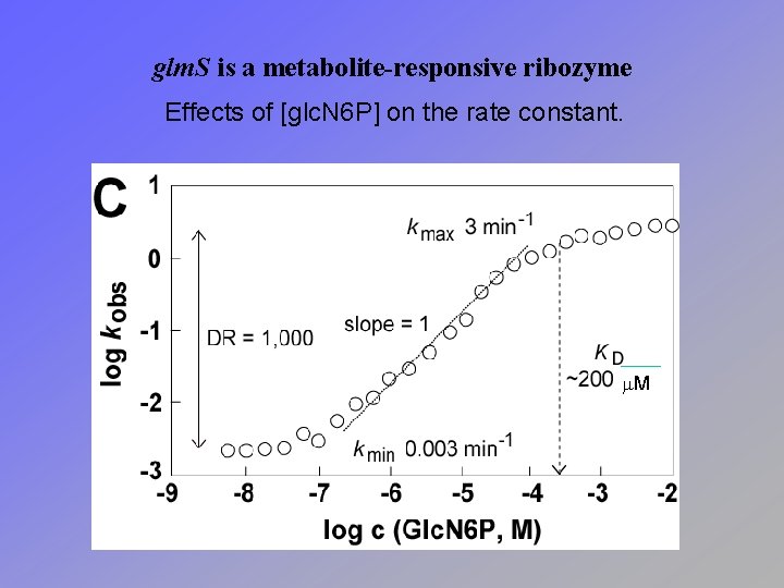 glm. S is a metabolite-responsive ribozyme Effects of [glc. N 6 P] on the