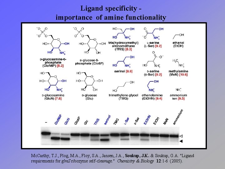 Ligand specificity importance of amine functionality Mc. Carthy, T. J. , Plog, M. A.