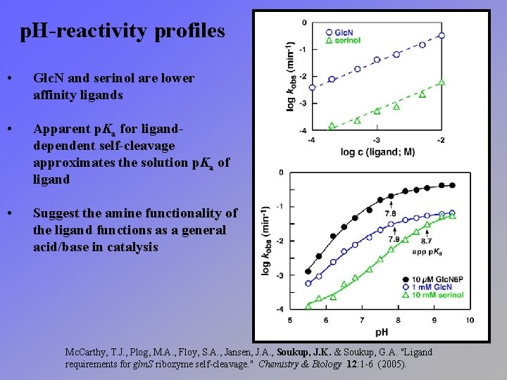 p. H-reactivity profiles • Glc. N and serinol are lower affinity ligands • Apparent