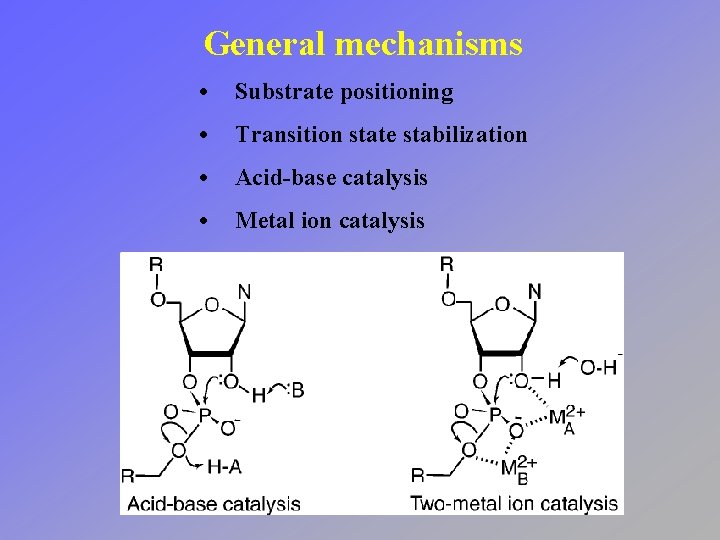 General mechanisms • Substrate positioning • Transition state stabilization • Acid-base catalysis • Metal