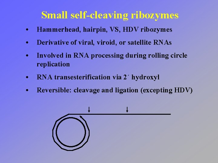 Small self-cleaving ribozymes • Hammerhead, hairpin, VS, HDV ribozymes • Derivative of viral, viroid,