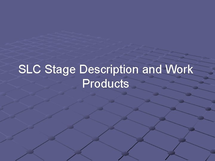 SLC Stage Description and Work Products SLC Stage Description and Work Products