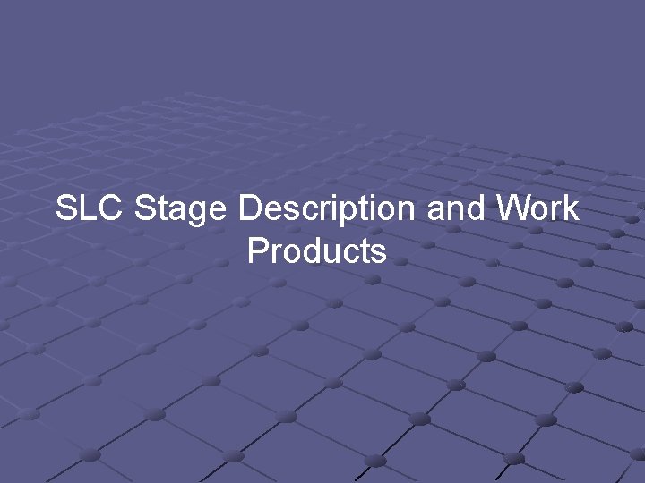 SLC Stage Description and Work Products 