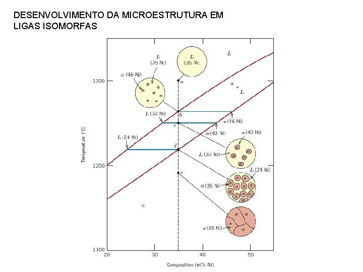 DESENVOLVIMENTO DA MICROESTRUTURA EM LIGAS ISOMORFAS 