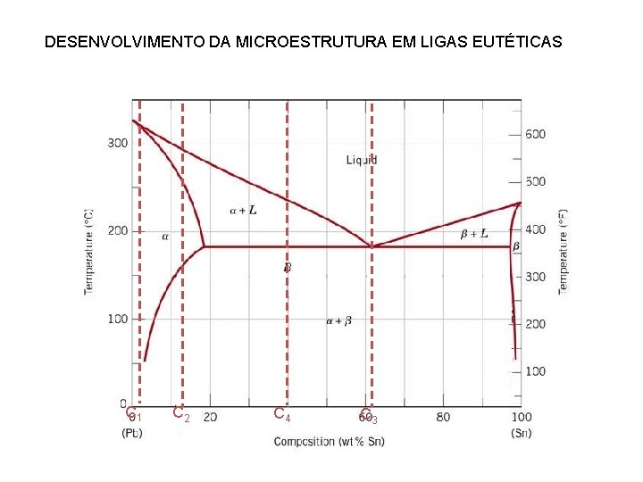 DESENVOLVIMENTO DA MICROESTRUTURA EM LIGAS EUTÉTICAS C 1 C 2 C 4 C 3