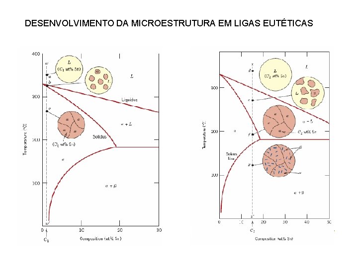 DESENVOLVIMENTO DA MICROESTRUTURA EM LIGAS EUTÉTICAS 