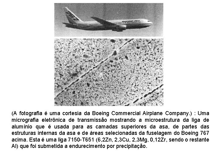 (A fotografia é uma cortesia da Boeing Commercial Airplane Company. ) : Uma micrografia