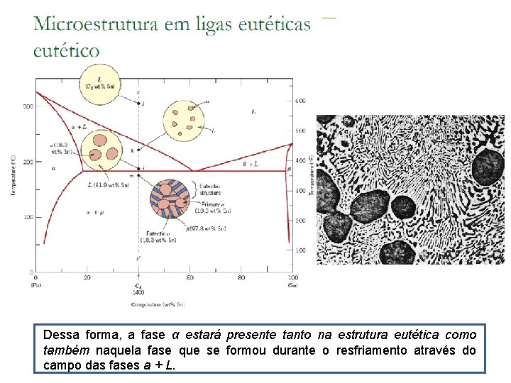 Dessa forma, a fase α estará presente tanto na estrutura eutética como também naquela