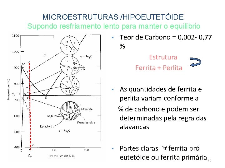 MICROESTRUTURAS /HIPOEUTETÓIDE Supondo resfriamento lento para manter o equilíbrio § Teor de Carbono =