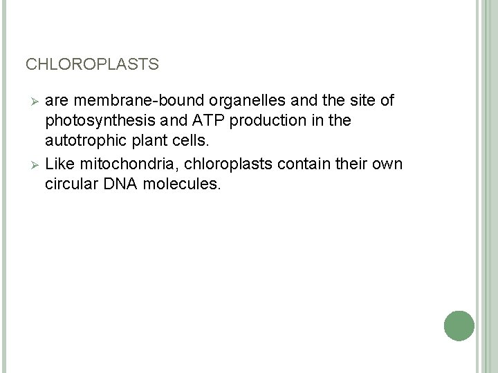 CHLOROPLASTS Ø Ø are membrane-bound organelles and the site of photosynthesis and ATP production