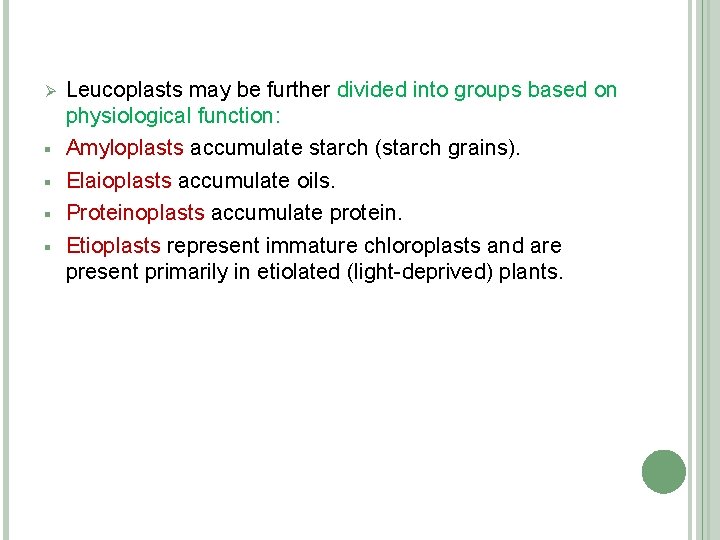 Ø § § Leucoplasts may be further divided into groups based on physiological function: