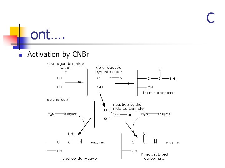 ont…. n Activation by CNBr C 