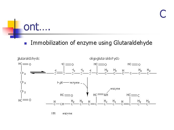 ont…. n Immobilization of enzyme using Glutaraldehyde C 