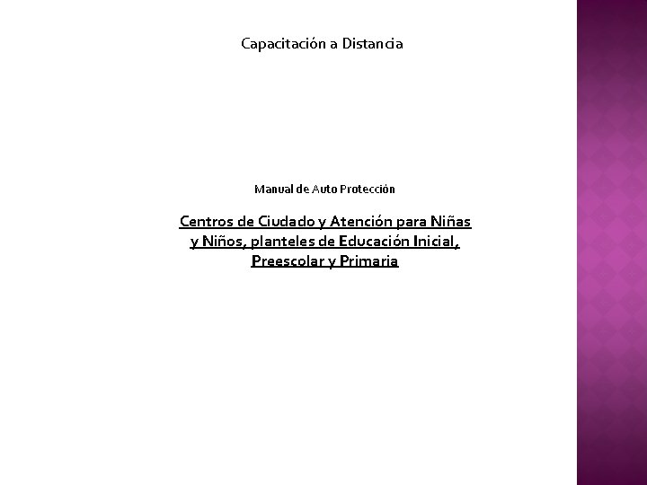 Capacitación a Distancia Manual de Auto Protección Centros de Ciudado y Atención para Niñas