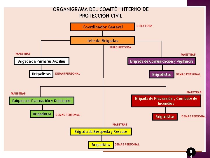 ORGANIGRAMA DEL COMITÉ INTERNO DE PROTECCIÓN CIVIL Coordinador General DIRECTORA Jefe de Brigadas SUB