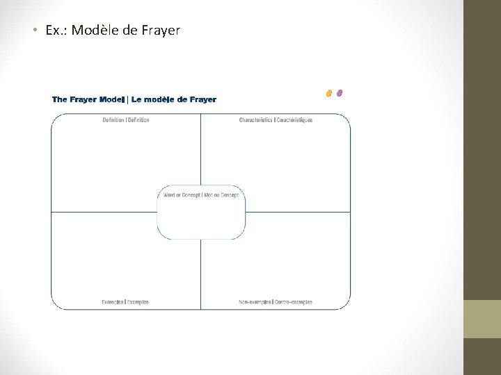  • Ex. : Modèle de Frayer 