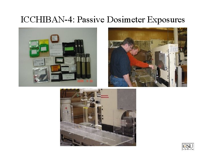 ICCHIBAN-4: Passive Dosimeter Exposures 