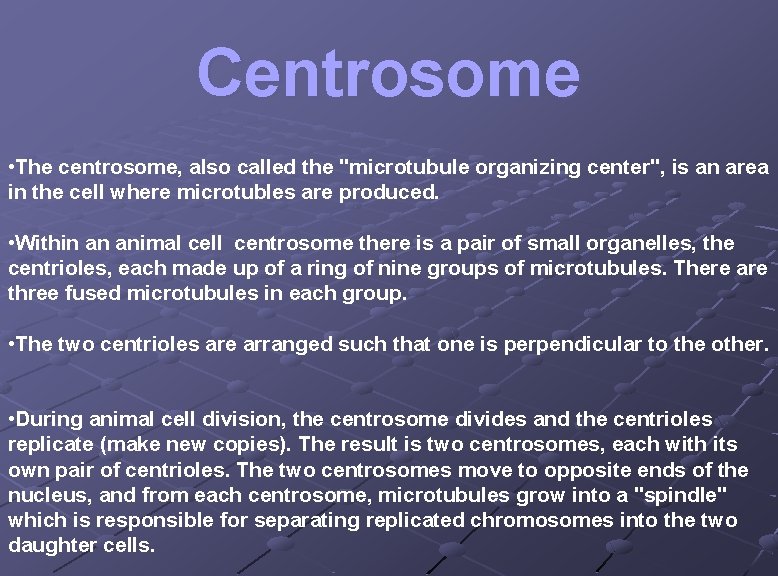 Centrosome • The centrosome, also called the "microtubule organizing center", is an area in