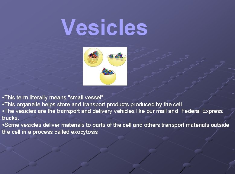 Vesicles • This term literally means "small vessel". • This organelle helps store and