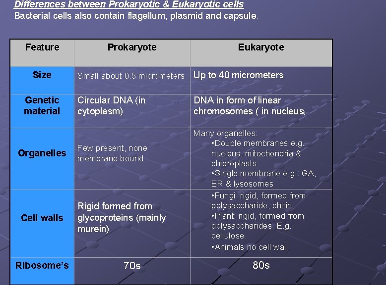 Differences between Prokaryotic & Eukaryotic cells Bacterial cells also contain flagellum, plasmid and capsule.
