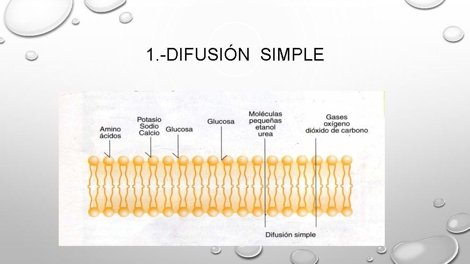 1. -DIFUSIÓN SIMPLE 