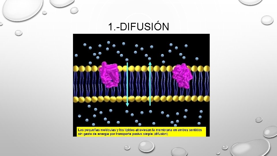 1. -DIFUSIÓN 