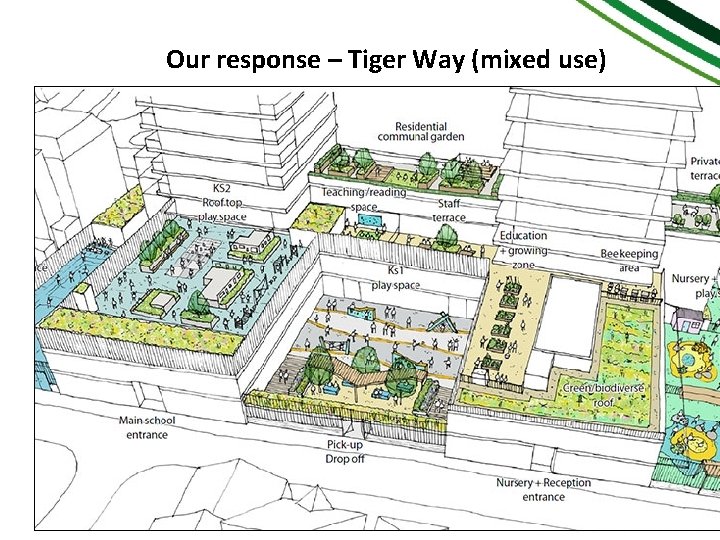 Our response – Tiger Way (mixed use) 