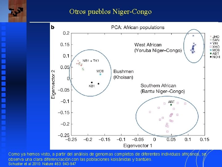 Otros pueblos Niger-Congo Como ya hemos visto, a partir del análisis de genomas completos