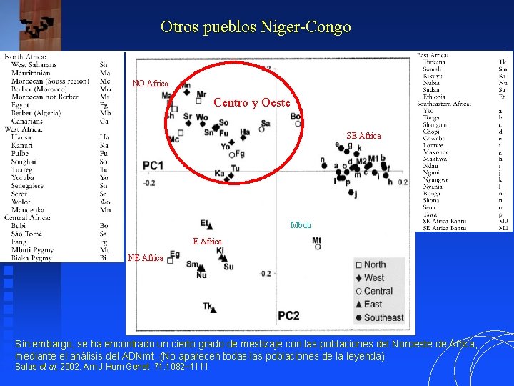 Otros pueblos Niger-Congo Salas et al, 2002 Am J Hum Genet 71: 1082– 1111