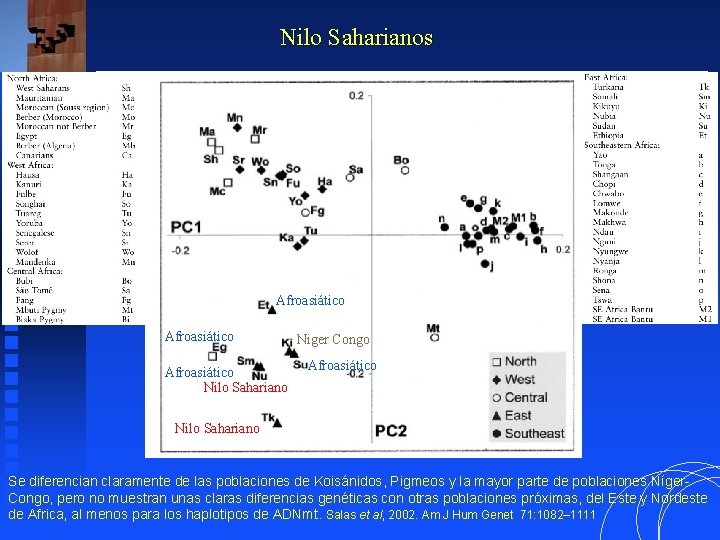 Nilo Saharianos Afroasiático Nilo Sahariano Niger Congo Afroasiático Nilo Sahariano Se diferencian claramente de