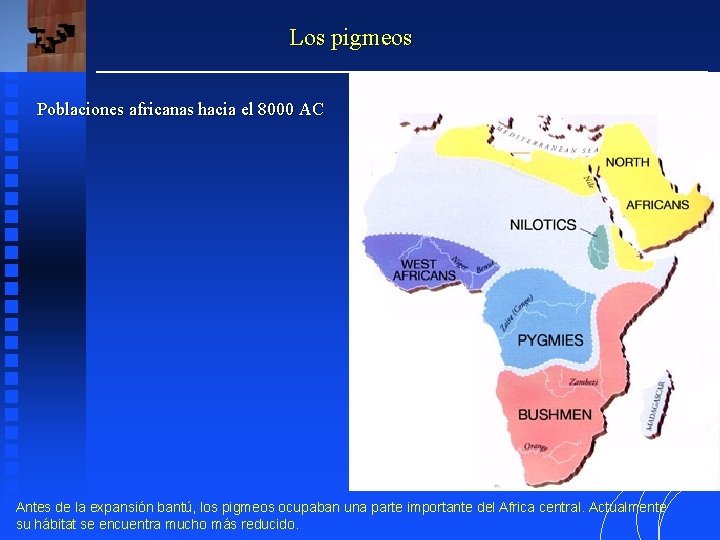 Los pigmeos Poblaciones africanas hacia el 8000 AC Antes de la expansión bantú, los