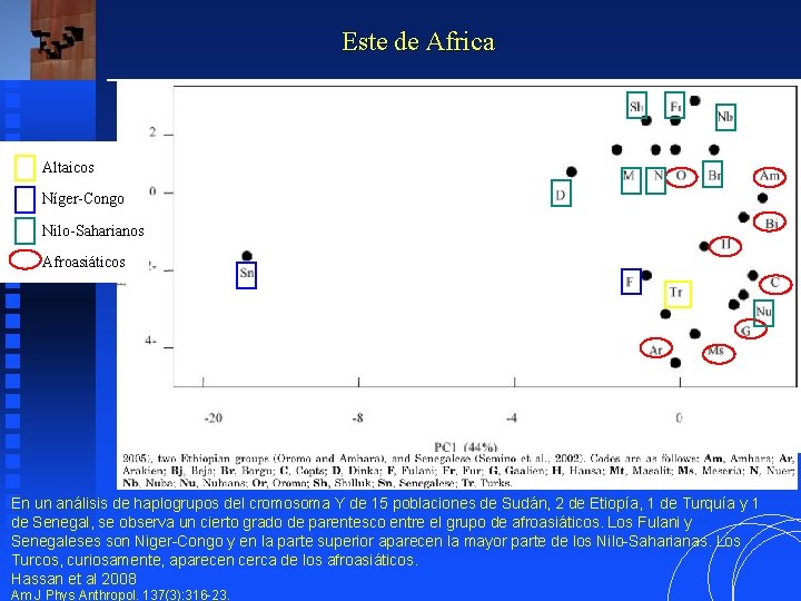 Este de Africa Altaicos Níger-Congo Nilo-Saharianos Afroasiáticos En un análisis de haplogrupos del cromosoma