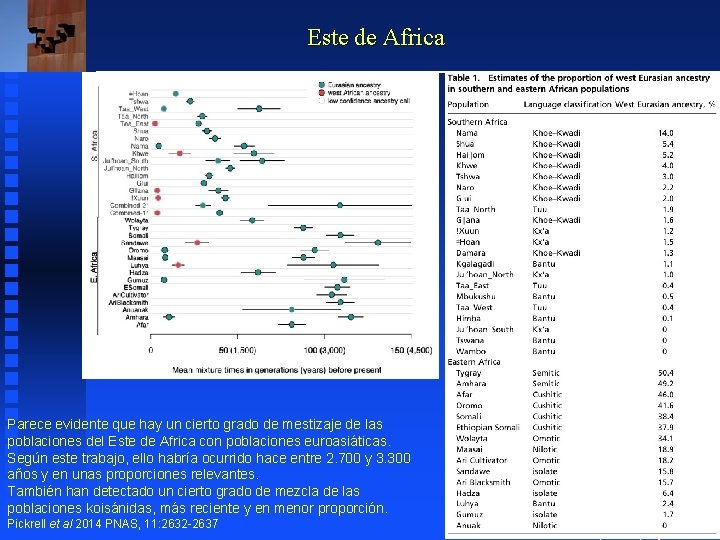 Este de Africa Parece evidente que hay un cierto grado de mestizaje de las