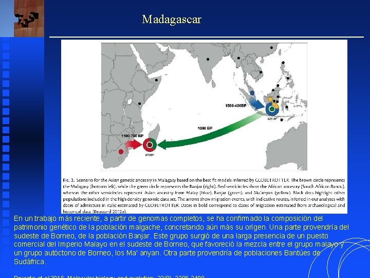 Madagascar En un trabajo más reciente, a partir de genomas completos, se ha confirmado