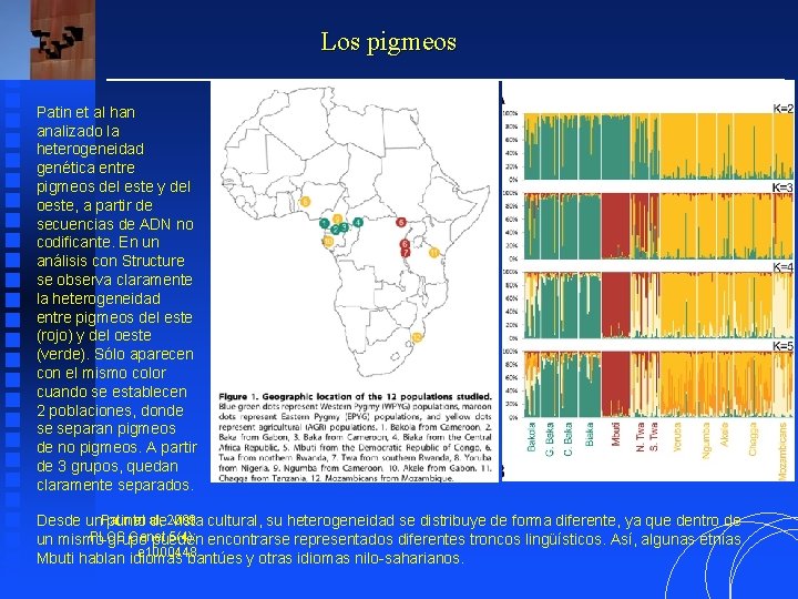 Los pigmeos Patin et al han analizado la heterogeneidad genética entre pigmeos del este