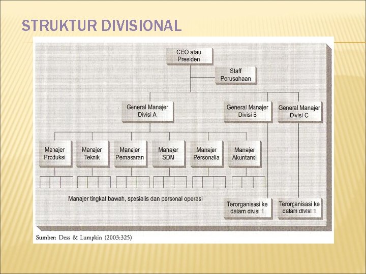 STRUKTUR DIVISIONAL 