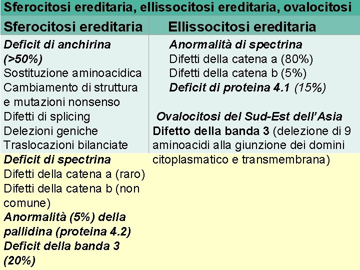 Sferocitosi ereditaria, ellissocitosi ereditaria, ovalocitosi Sferocitosi ereditaria Ellissocitosi ereditaria Deficit di anchirina (>50%) Sostituzione