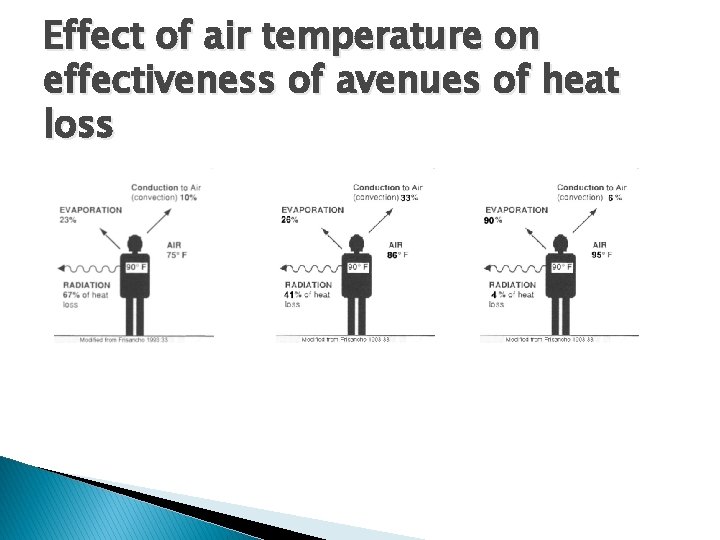 Effect of air temperature on effectiveness of avenues of heat loss Effect of air temperature on effectiveness of avenues of heat loss