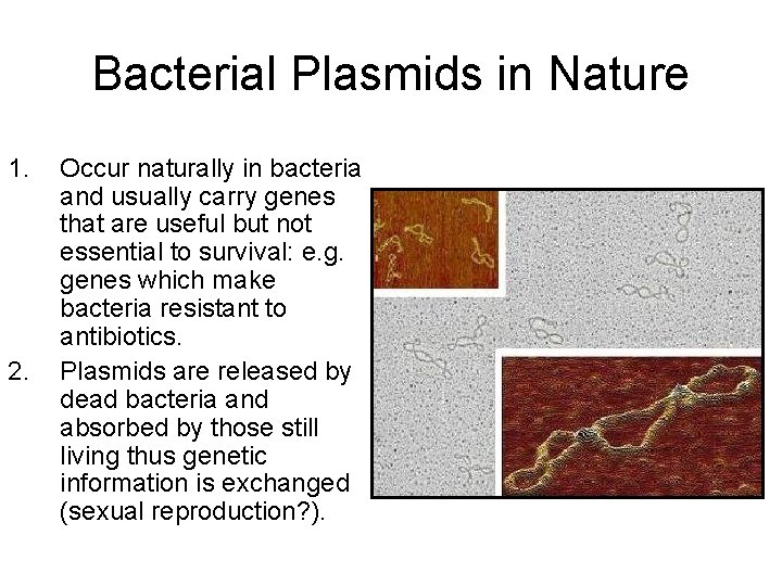 Bacterial Plasmids in Nature 1. 2. Occur naturally in bacteria and usually carry genes