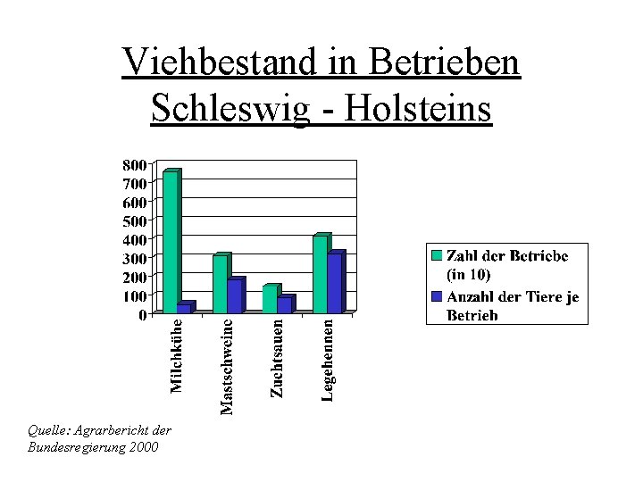 Viehbestand in Betrieben Schleswig - Holsteins Quelle: Agrarbericht der Bundesregierung 2000 Viehbestand in Betrieben Schleswig - Holsteins Quelle: Agrarbericht der Bundesregierung 2000