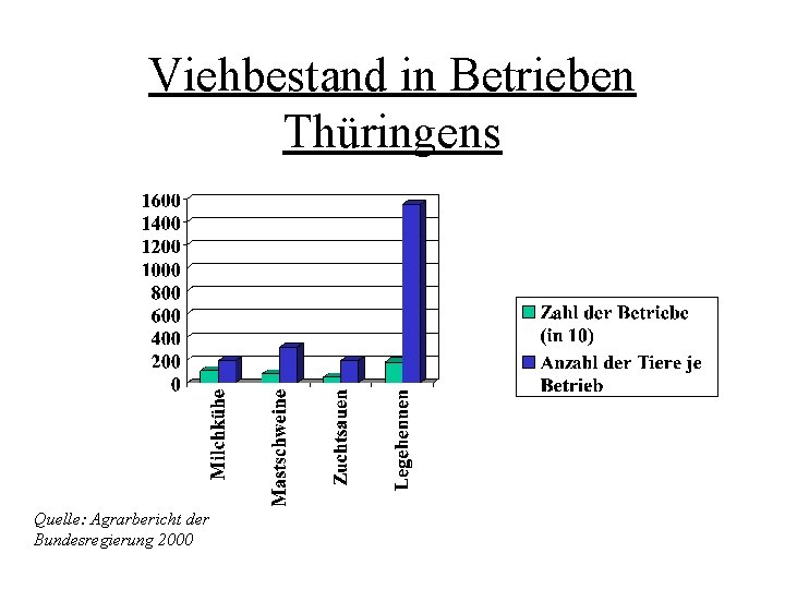 Viehbestand in Betrieben Thüringens Quelle: Agrarbericht der Bundesregierung 2000 Viehbestand in Betrieben Thüringens Quelle: Agrarbericht der Bundesregierung 2000